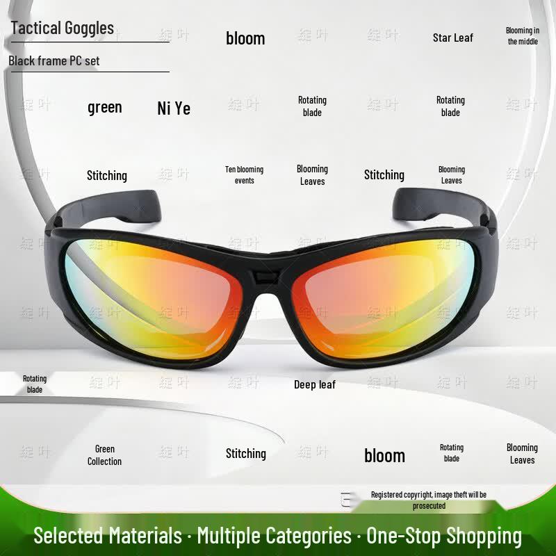 Tactical Protective Goggles C6