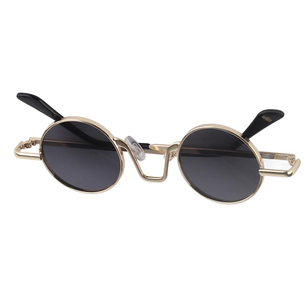 Retro Trend Sunglasses Round Rimmed Sunglasses