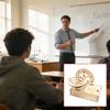 Assembly Wooden Mechanical Marble Track Gear Model Physics Teaching Tool for Homeschooling Classroom Science Education
