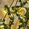 2M 3M 5M 10M LED String Light Green Leaf Garland Vine Fairy Lights Flexible Copper Battery Powered Party Wedding Decoration