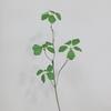 Paper Wrapped Stems Greenery Artificial Green Plants Uv Resistant Faux Greenery Realistic Decorative Fake Leaves Chinese Style