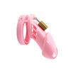 Male Chastity Standard Cage Equipped with 5 Rings of Different Sizes and A Brass Lock To Secure The Male Urethra Adult Sex Toys