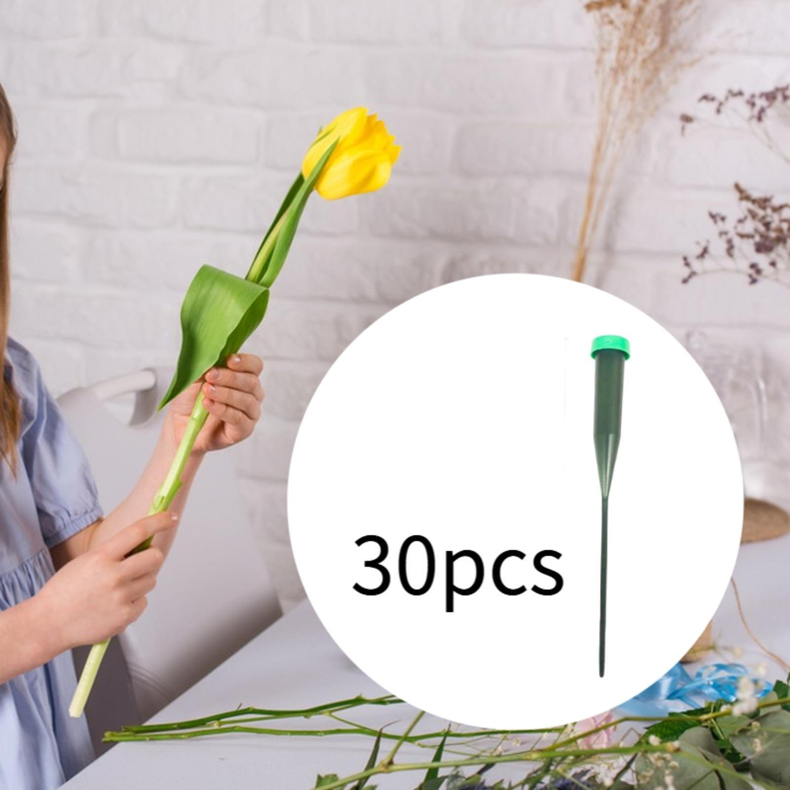 

30 Pieces Floral Water Tubes Arrangement Supplies Florist Cultivation short