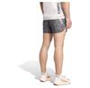 adidas Шорты Terrex Techrock Allover Print
