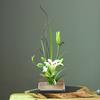 276 Aghi Fiore di Rame Kenzan Arrangement Floreale Spillo Strumento Accessorio per Disporre