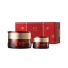 FRUIT OF THE EARTH Hyoyeon Jayang Jin Cream Nourishing Anti-Aging Skincare Set