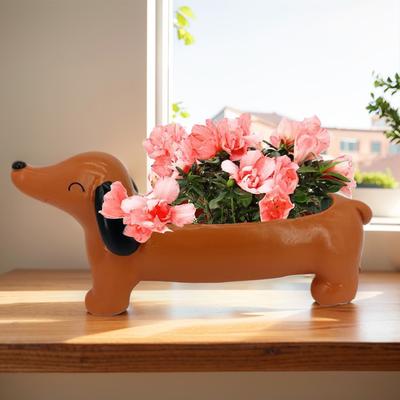 Dachshund Flower Pot Dog Plant Pot Resin Flower Planter Aesthetic Succulent Flower Planter for Flowers & Small Plants