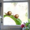 3D Snail Green Leaf Self-Adhesive Decorative Glass Sticker for Bedroom and Living Room