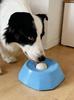 Hunde – Näpfe & Tränken für Hunde