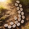 20PCS Small Footprint Stepping Stones Decorative Footprint Micro Landscape Decoration  Garden Decor