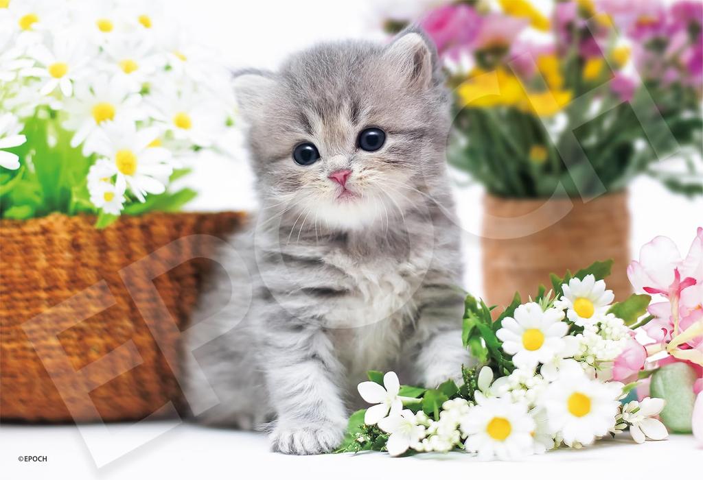 Epoch Jigsaw Pompous Cat X 38 Includes and Score Ticket 300-Piece Puzzle, Animals/Pets, Cat, (26 Cm), 28-051s, Glue, Spatula,