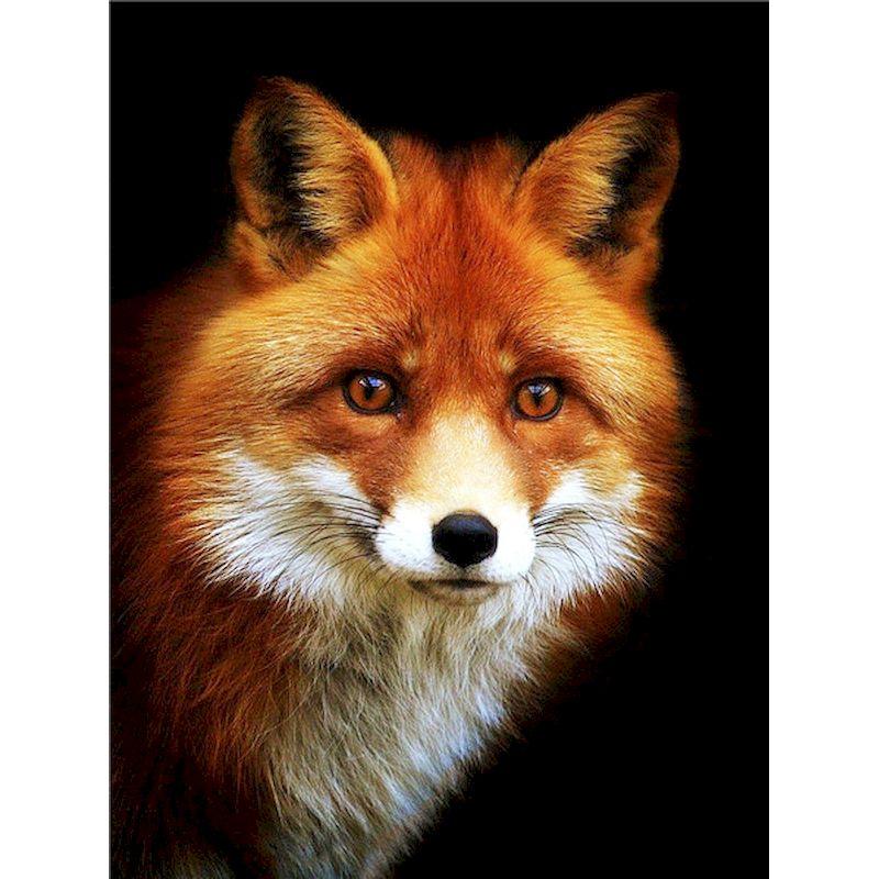 Full Diamond Mosaic Handmade Fox Pictures Diamond Embroidery 5D Animal Painting Crafts Wall Decor