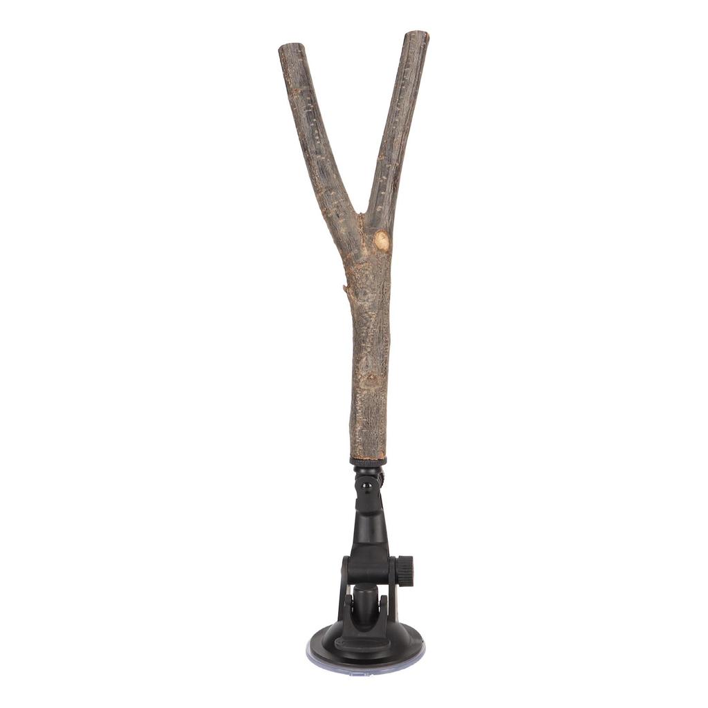 Bird Branch Perch Stand Training Interactive Prevent Slip Wooden Perch with Suction Cups for Small Medium Bird