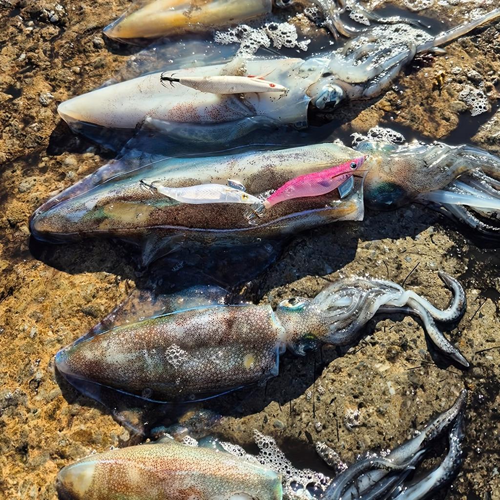 Tintenfischköder Leuchtender Tintenfisch-Jig Kunstköder Sinkend Schwimmfuß-Oktopus Sepia Meeresangelköder Garnelenköder