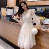 Trending Mid-Sleeve Fairy Forest Style Autumn Dress for Women 2026