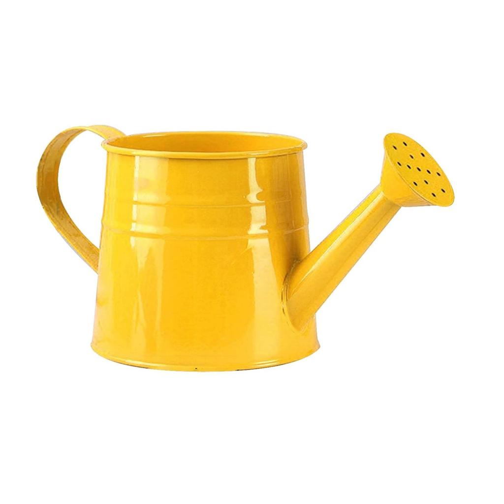 Watering Can Gardening Tools Accessories, Watering Can Plant Watering Can, Metal Garden Watering Can For Indoor & Outdoor Plant Garden
