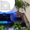 Fish Tank Corner Shelf  Coral Frag Rack Acrylic Fish Tank Aquarium Organization Storage Stand Shelf for  Aquarium Lanscape