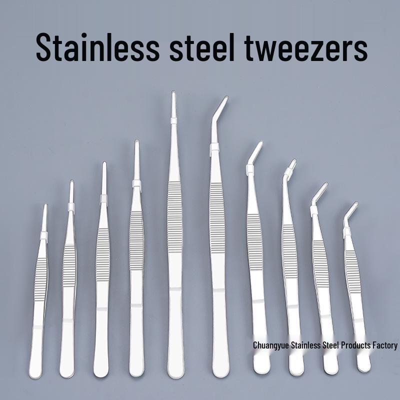 Stainless Steel 304 Non-Slip Toothed Tweezers for Succulents