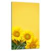 GLASS PLATE BOARD PANEL TABLETOP 30x52 FLOWERS