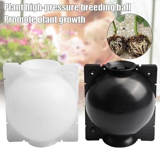Garden Plant Rooting Ball Grafting Root Growing Box Breeding Case Container