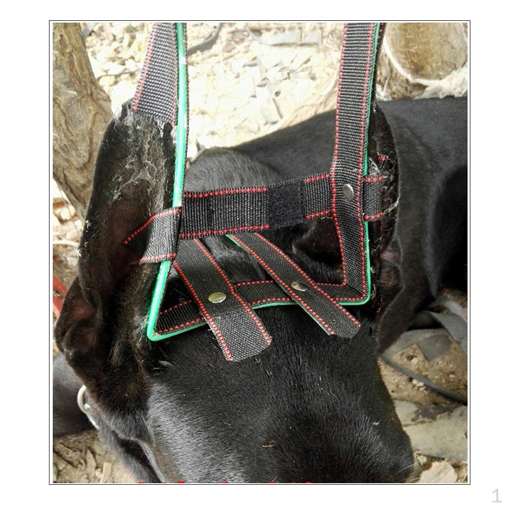 

Инструменты для ухода – нежная поддержка для всех пород и размеров L