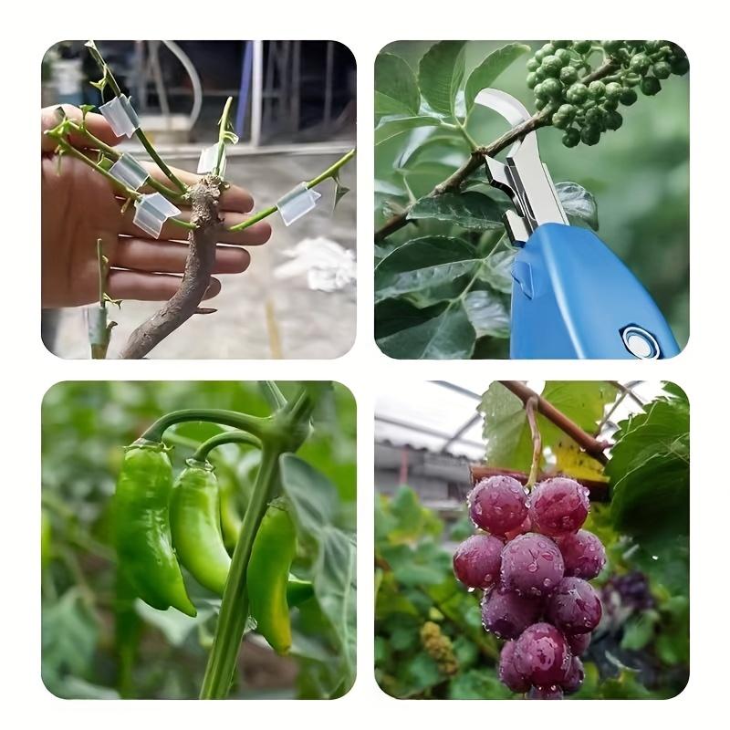 A Versatile Heavy-Duty Pruning Shear: Features 1.97 inch Ultra-Sharp Blades, an Ergonomic Non-Slip Handle, And Is Perfect