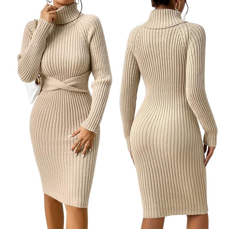Womens High Neck Slim Fit Knit Sweater Dress Solid Color Long Sleeve Casual Chic Outfit