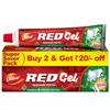 Red Gel Ayurvedic Toothpaste 300G Herbal Care For Healthy Gums & Fresh Breath