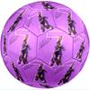 Cristiano Ronaldo Theme Soccer Ball Size 5 Soccer Ball Soft Touch Professional Training Football for Outdoor Sports