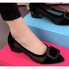 New Summer Women Shoes Women's High Heels Mesh Breathable Casual Women Shoes Square Heel Pointed Toe Heels Women Zapatos Mujer