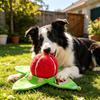 Plush Dog Toy with Squeaker Interactive Crinkle Sound Soft Stuffed Puzzle Shape Suitable for Small and Medium Dogs Durable Pet Chew Toy
