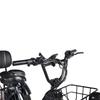 PULUMA SL001 Dual Motor Electric Cargo Trike, Dual Battery 48V 27Ah 7-Speed with Hydraulic Brakes