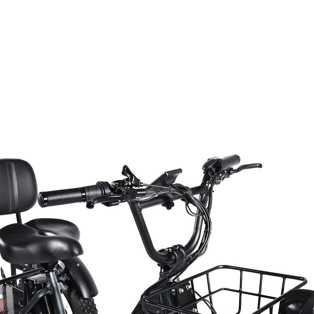 PULUMA SL001 Dual Motor Electric Cargo Trike, Dual Battery 48V 27Ah 7-Speed with Hydraulic Brakes