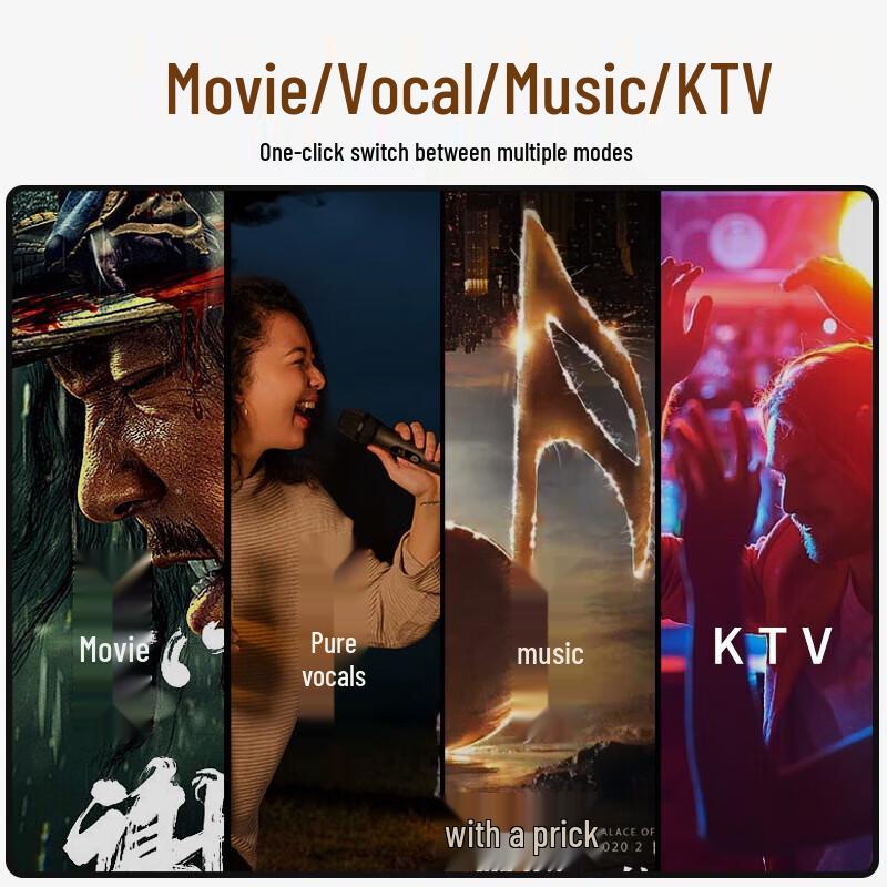 Newmine Wireless Bluetooth Home KTV Sound System