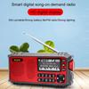 Multi-functional FM Radio Portable Bluetooth Speaker with LED Display Flashlight Support U Disk TF Card AUX Time Lyrics Display