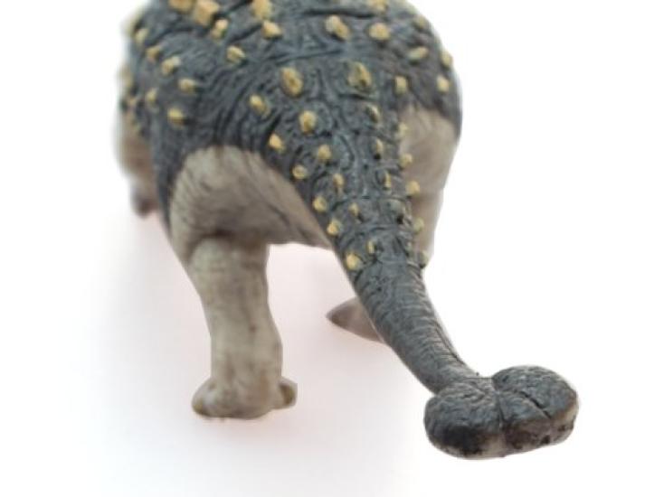 Ankylosaurus Soft Model (FDW-009)