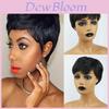 Elegantes Pelucas Sintéticas Corte Pixie Pelo Corto Recto Negro Con Flequillo Para Mujeres