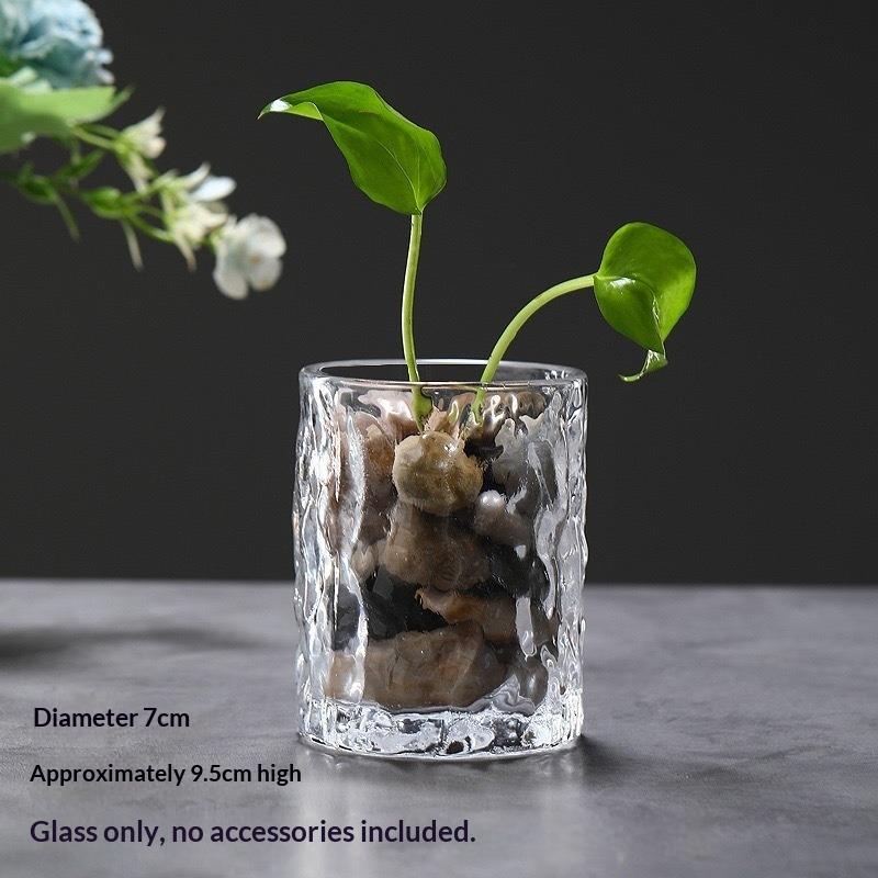 Micro Landscape Glass Bottles with Cover Fresh Green Succulent Moss Bottle Glass Vase Glass Terrarium Bonsai Home Desktop Decor