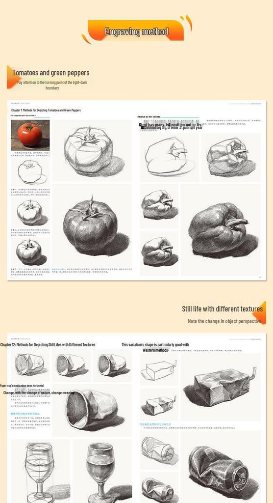 Sketching Still Life: Beginner's Anatomy & Perspective Training