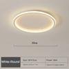 Nordic Minimalist LED Ceiling Light For Bedroom Living Room Aisle Study Room Balcony Circular Remote Control Lighting Chandelier