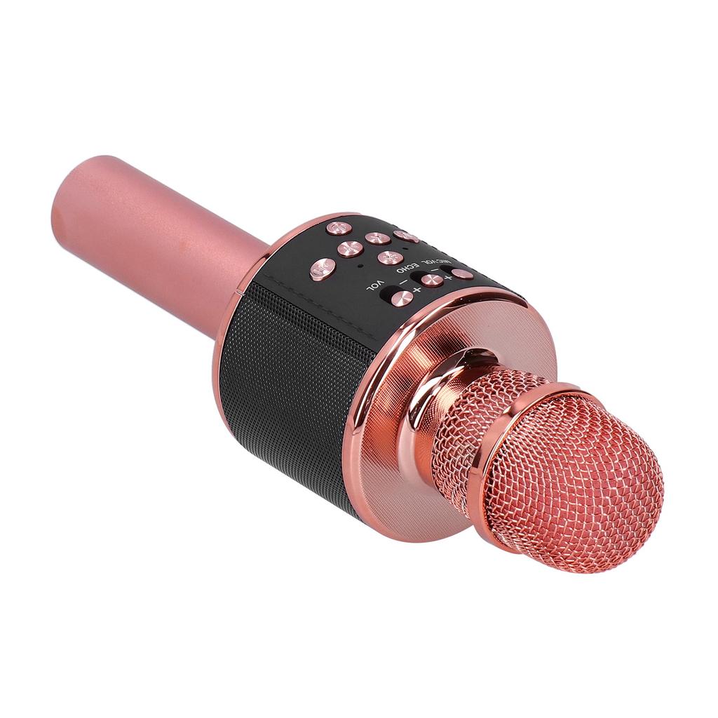 Wireless Bluetooth Microphone LED Poratable for Family Gathering Birthday Party
