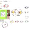 Charming Autism Adhd Anti-stress Adult Toys Key Ring Hand Bearing Tri-spinner Toy