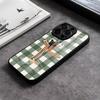 Süße Grün-Weiße Karomuster Tier Handyhülle Für IPhone 17 15 Pro Max 12 16 14 Plus 11 13 Pro X XR XS 7 8 Plus SE Glas Hülle