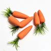 Lifelike Fake Carrots Glitter Easter Ornaments 6Pcs Kitchen Photography Props