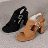 Women Sandals Ladies High Heels Sandals Fashion Fish Mouth Hollow Roma 2024 Summer Shoes Casual Belt Buckle Peep Toe Footwear