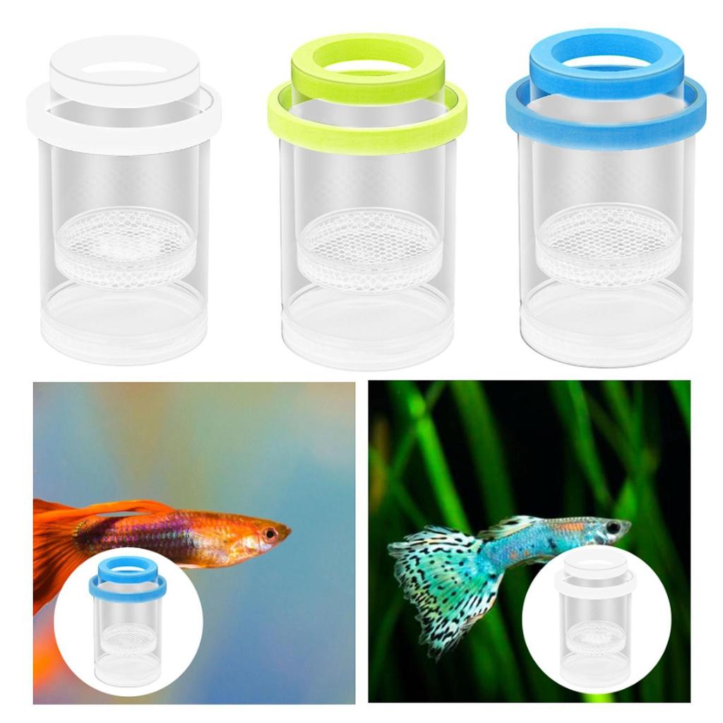 Schwimmende Fisch-Isolierbox Aquarium Züchter Futterbox für Garnelen Babyfische