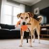 Pet Toy, Pet Plush Cotton Rope Chew Toy, Fun Interactive Dog Toys, Dog Chew Toys
