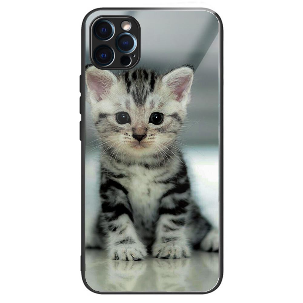 Für iPhone 15 Pro Musterdruck Handyhülle Gehärtetes Glas Rückseite+TPU Kante