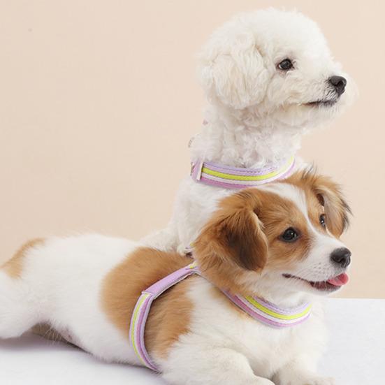 Folding Pet Bowl Portable Dog Water Bowl Foldable Pet Feeding Dish Collapsible Cat Bowl with Carabiner for Travel Outdoor Hiking