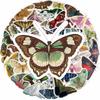 50PCS Beautiful Cartoon Retro Moth Graffiti Sticker Scrapbooking Collage Phone Guitar Skateboard Fun Decorative Sticker